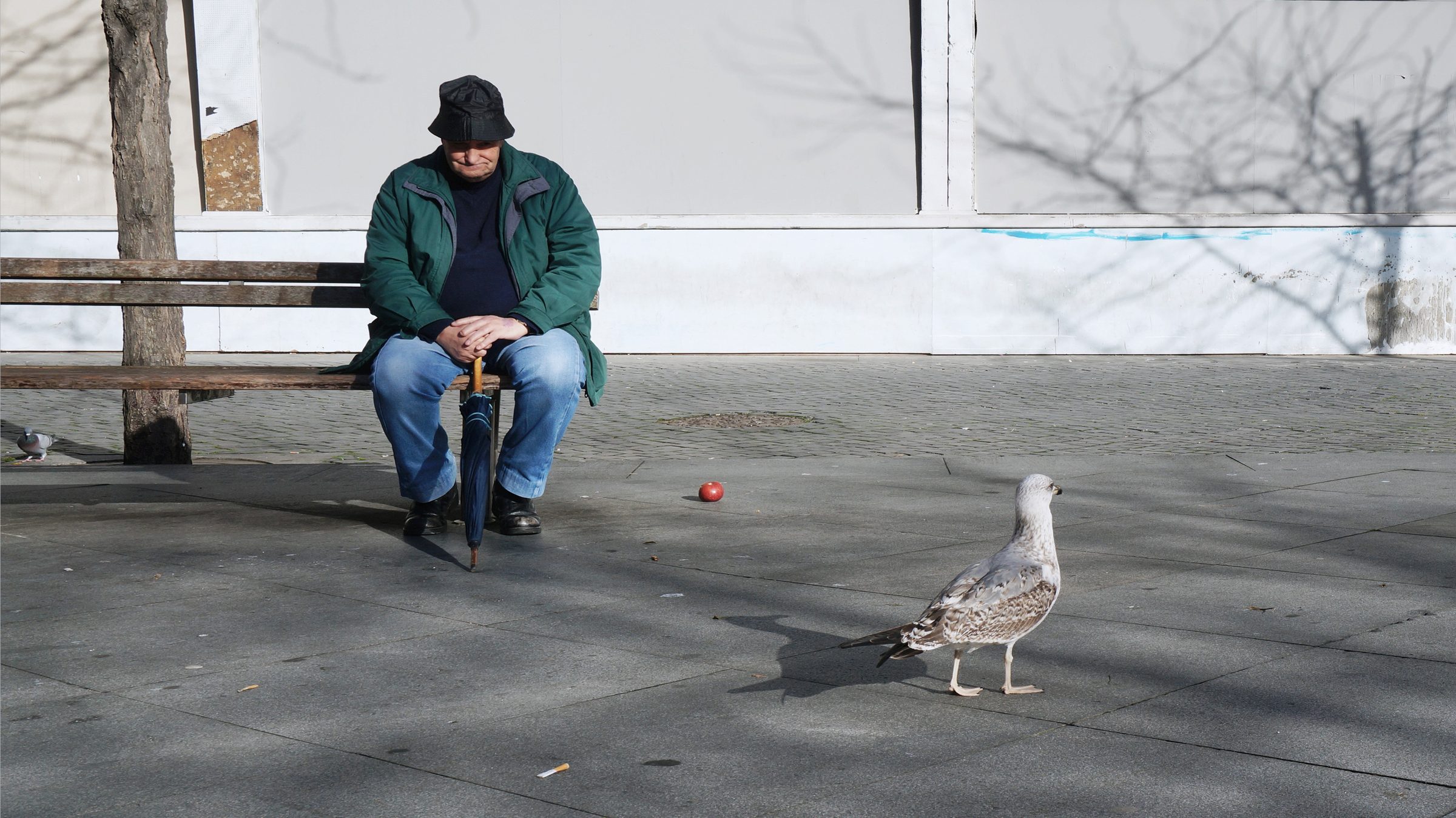 Featured photograph 6